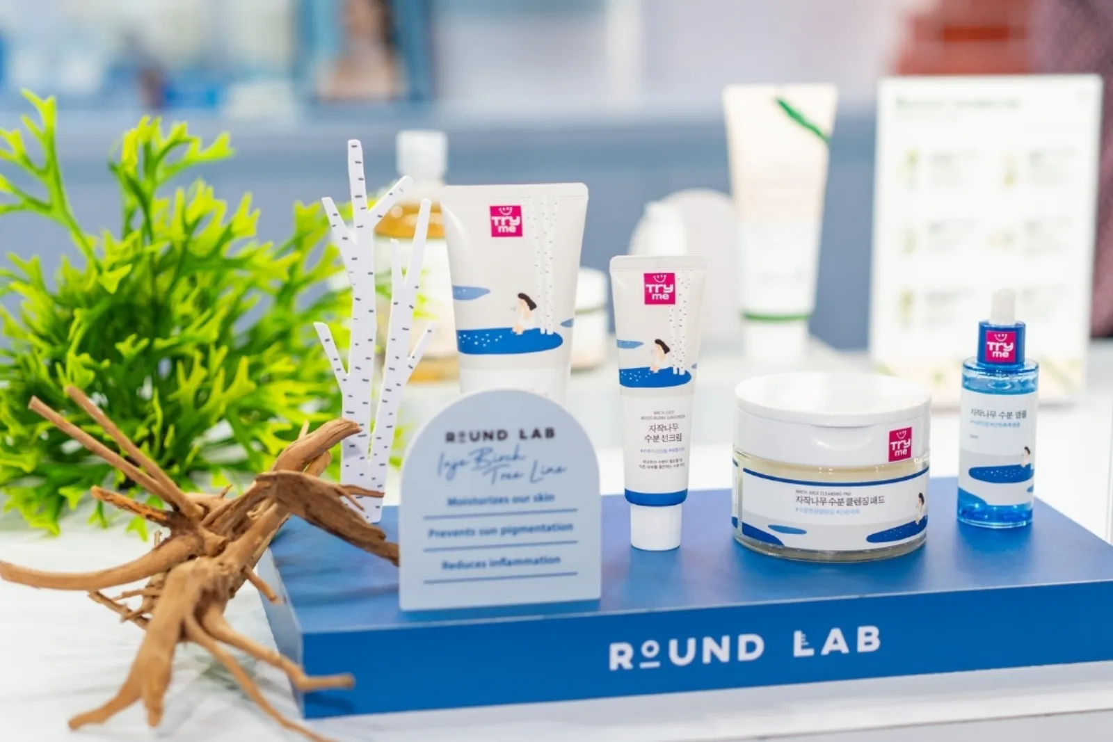 Round Lab at K-Beauty Festa — Expo Booth by La Memoria (photo 7)